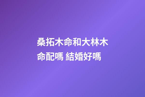 桑拓木命和大林木命配嗎 結婚好嗎